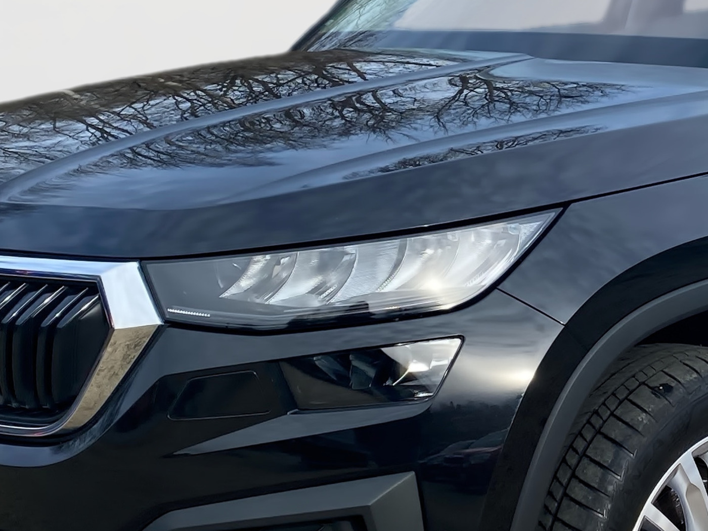 SKODA Kodiaq 2.0 TDI DSG Ambition ACC LED NAVI RFK SHZ Bild 5