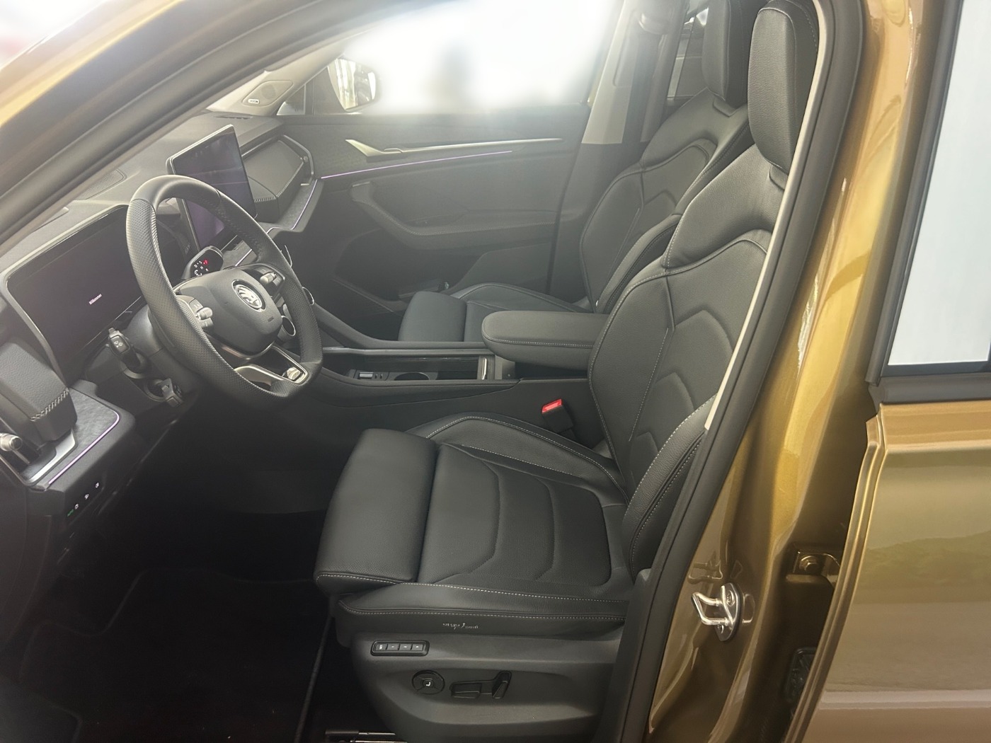 Skoda Kodiaq 2.0 TDI 4x4 Selection ACC AHK SHZ MATRIX Bild 5