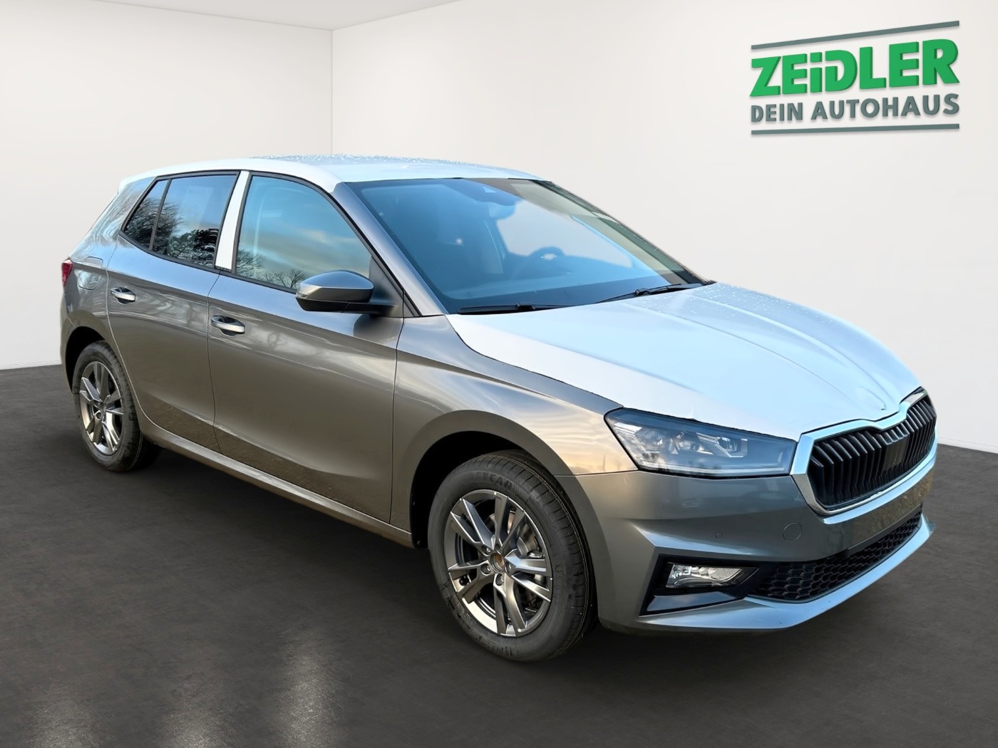SKODA Fabia 1.0 TSI Selection ACC DAB LED NAVI SHZ Bild 2