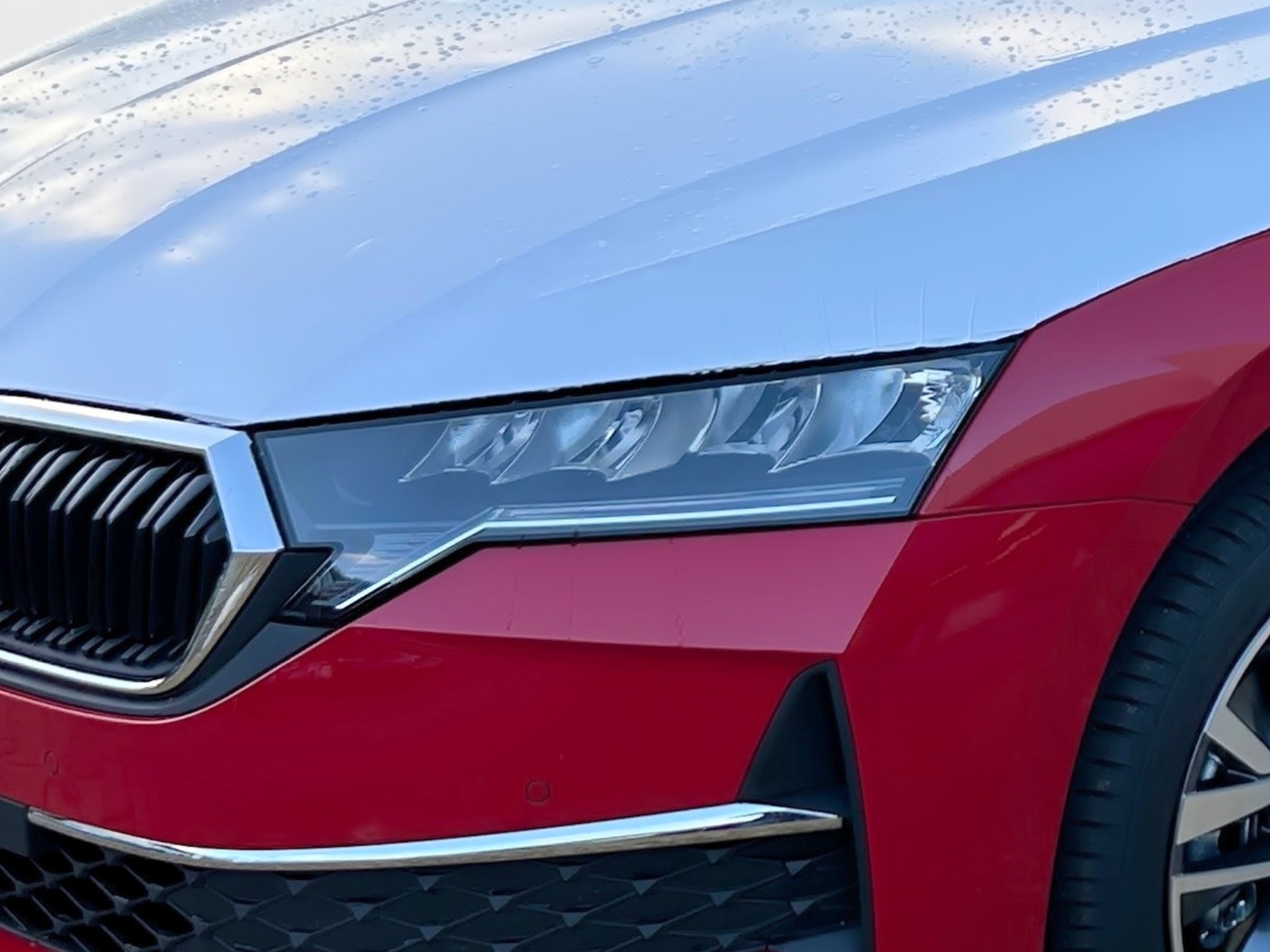 SKODA Octavia Combi 1.5 TSI DSG mHEV Selection NAVI SHZ Bild 5