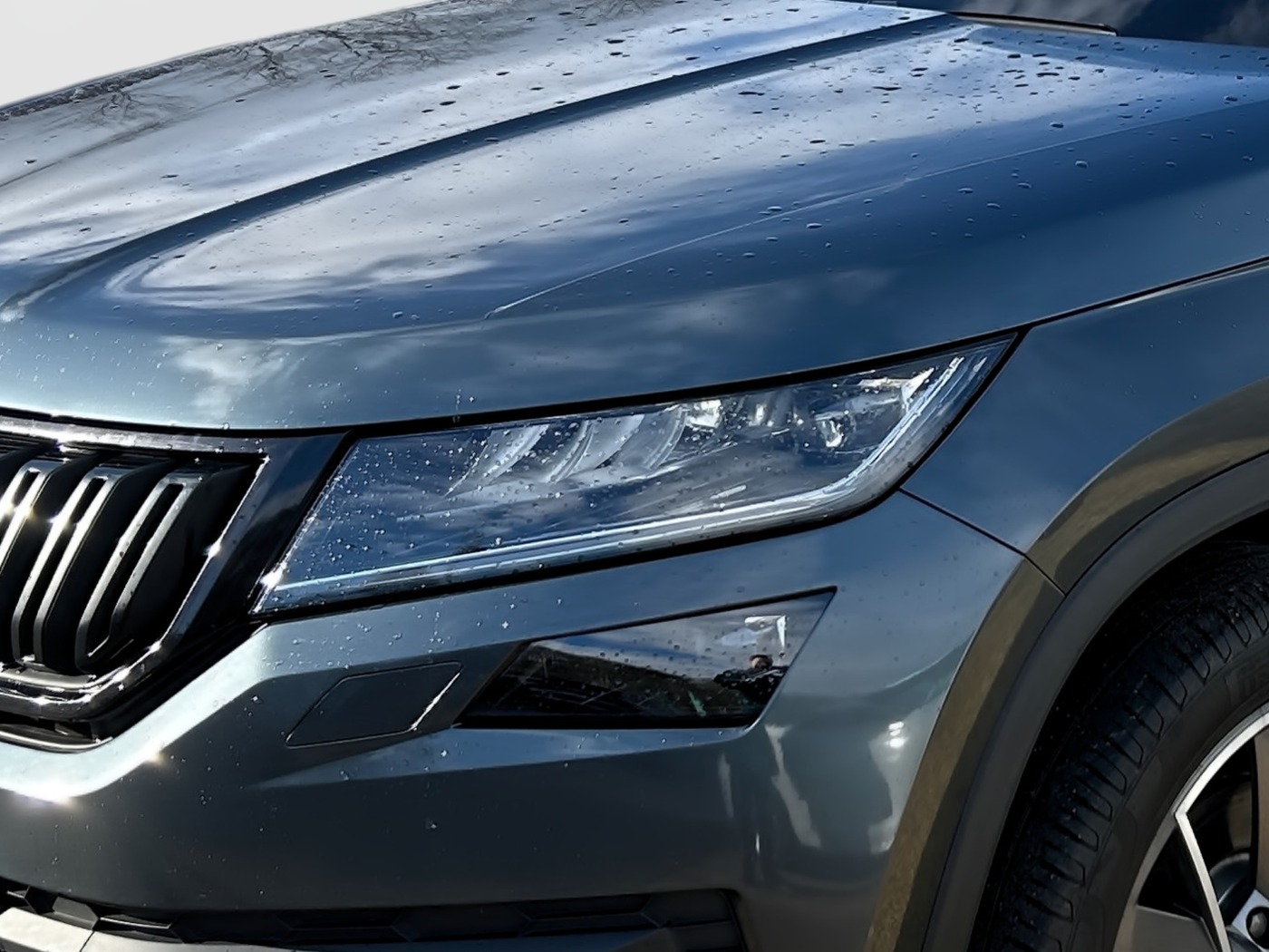 SKODA Kodiaq 2.0 TDI Sportline AHK DCC KA PANO RFK Bild 5