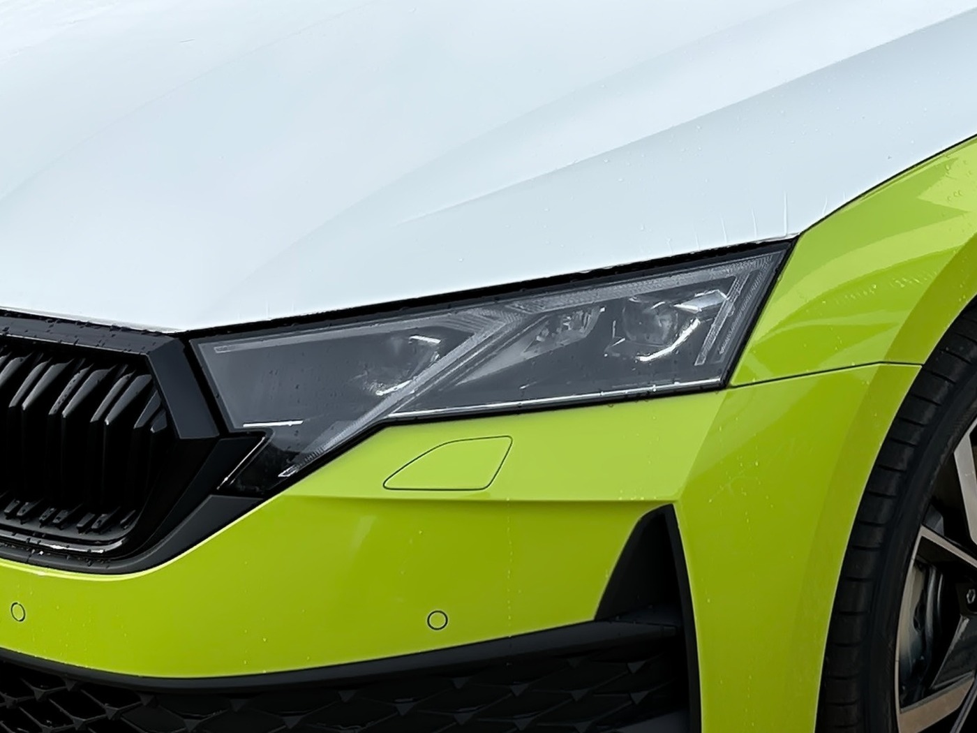 SKODA Octavia Combi 1.5 TSI DSG Sportline ACC HUD STHZ Bild 5