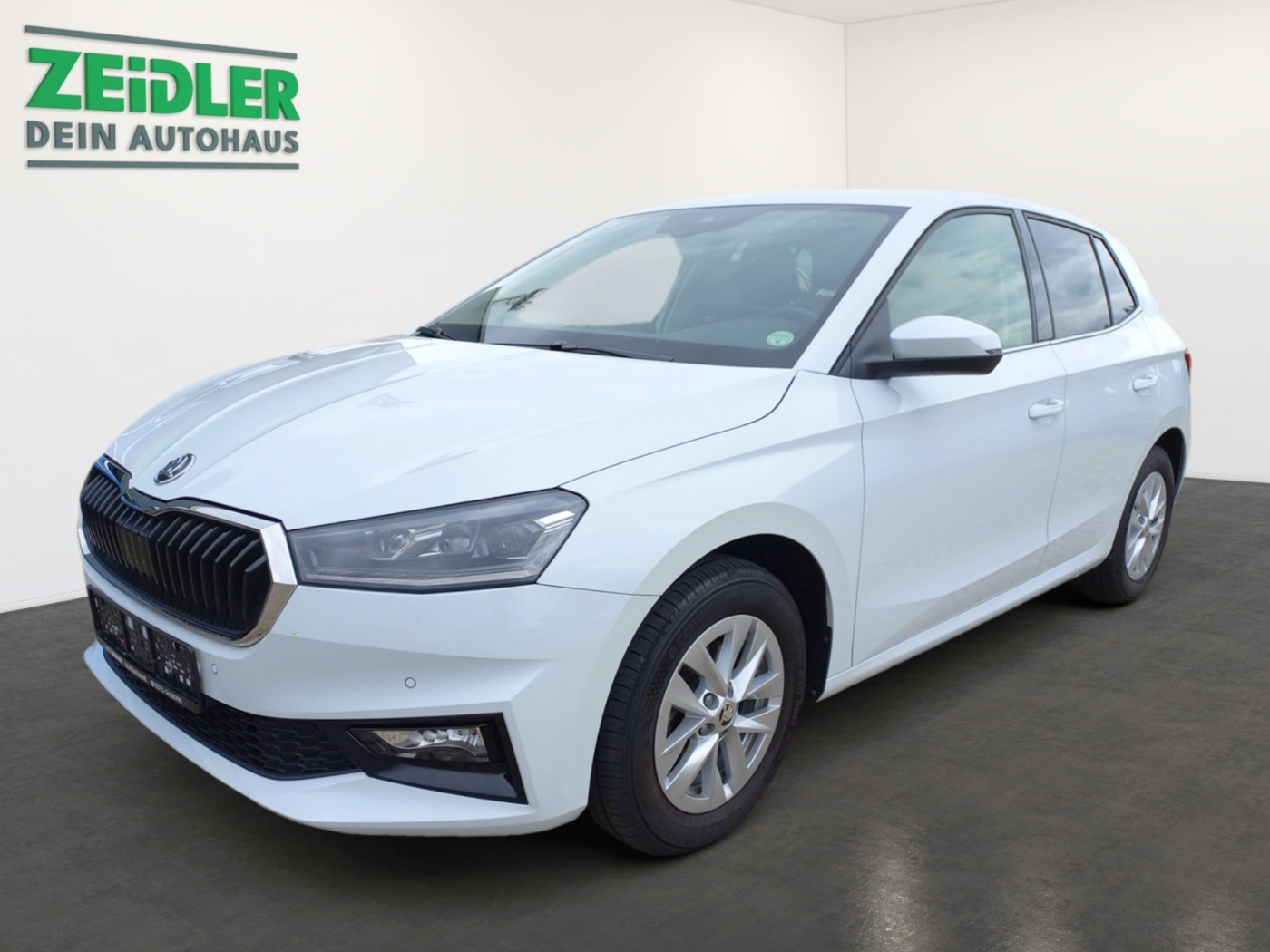 SKODA Fabia 1.0 TSI Style DAB KA LED LHZ SHZ PDC TOUCH