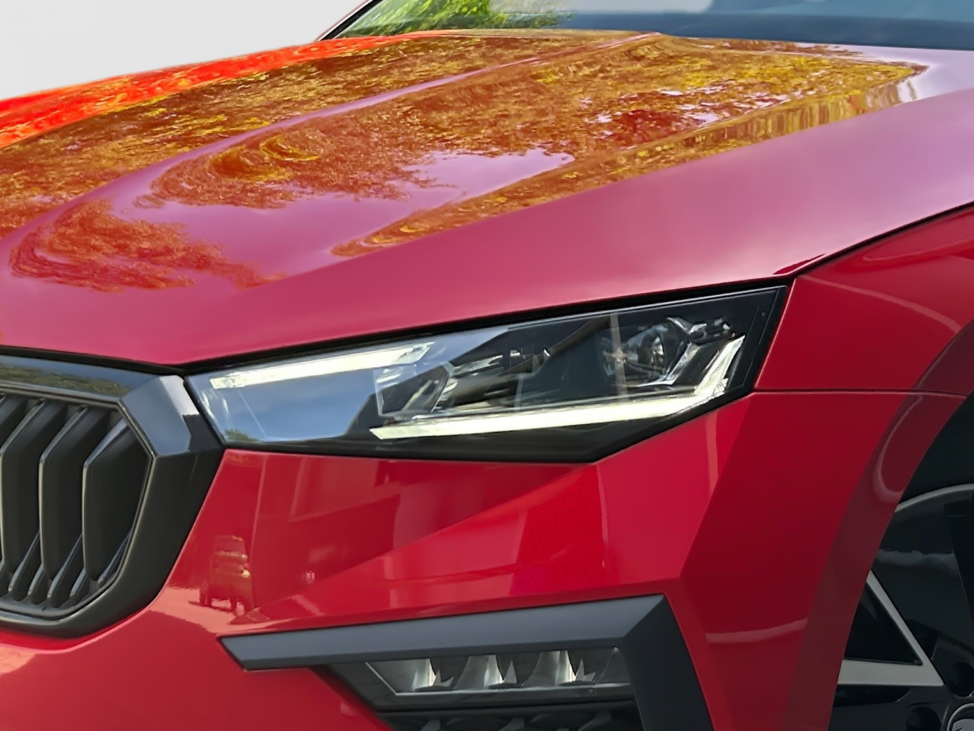 SKODA Scala 1.0 TSI Selection DAB KA MATRIX PDC SHZ VC Bild 5