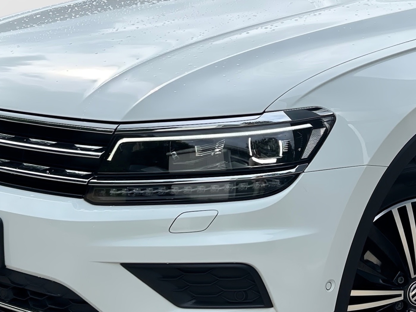 VW Tiguan 1.5 TSI DSG Highline ACCParkAss.ErgoActive Bild 5