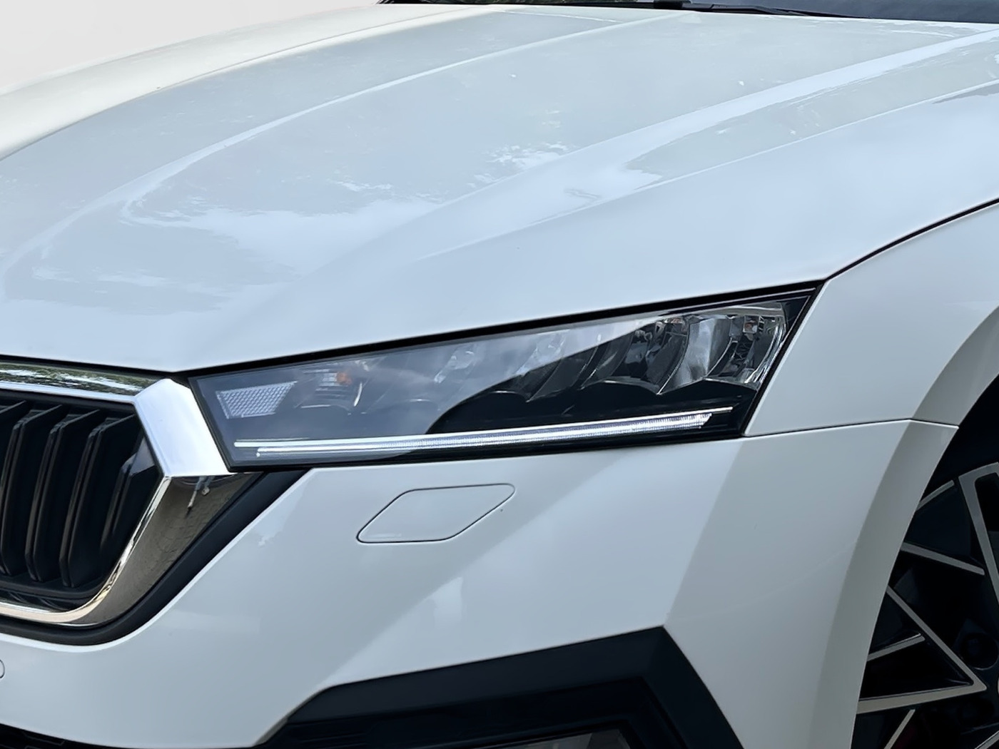 Škoda Octavia Combi 1.5 TSI ACT Clever DSG LM Navi AHK Bild 5