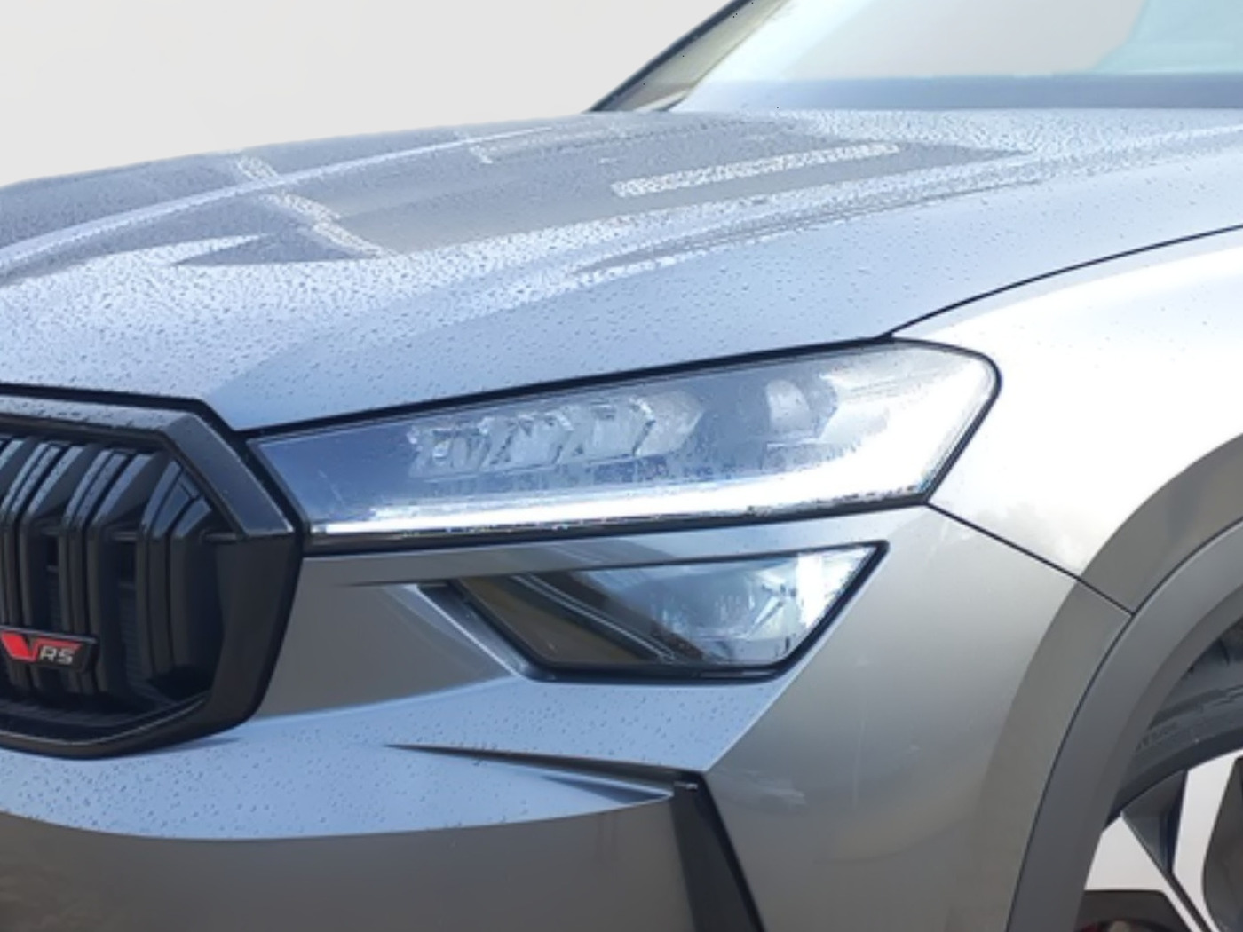 Škoda Kodiaq 2.0 TSI RS Navi SportS. ParkAss 360 ACC Bild 5
