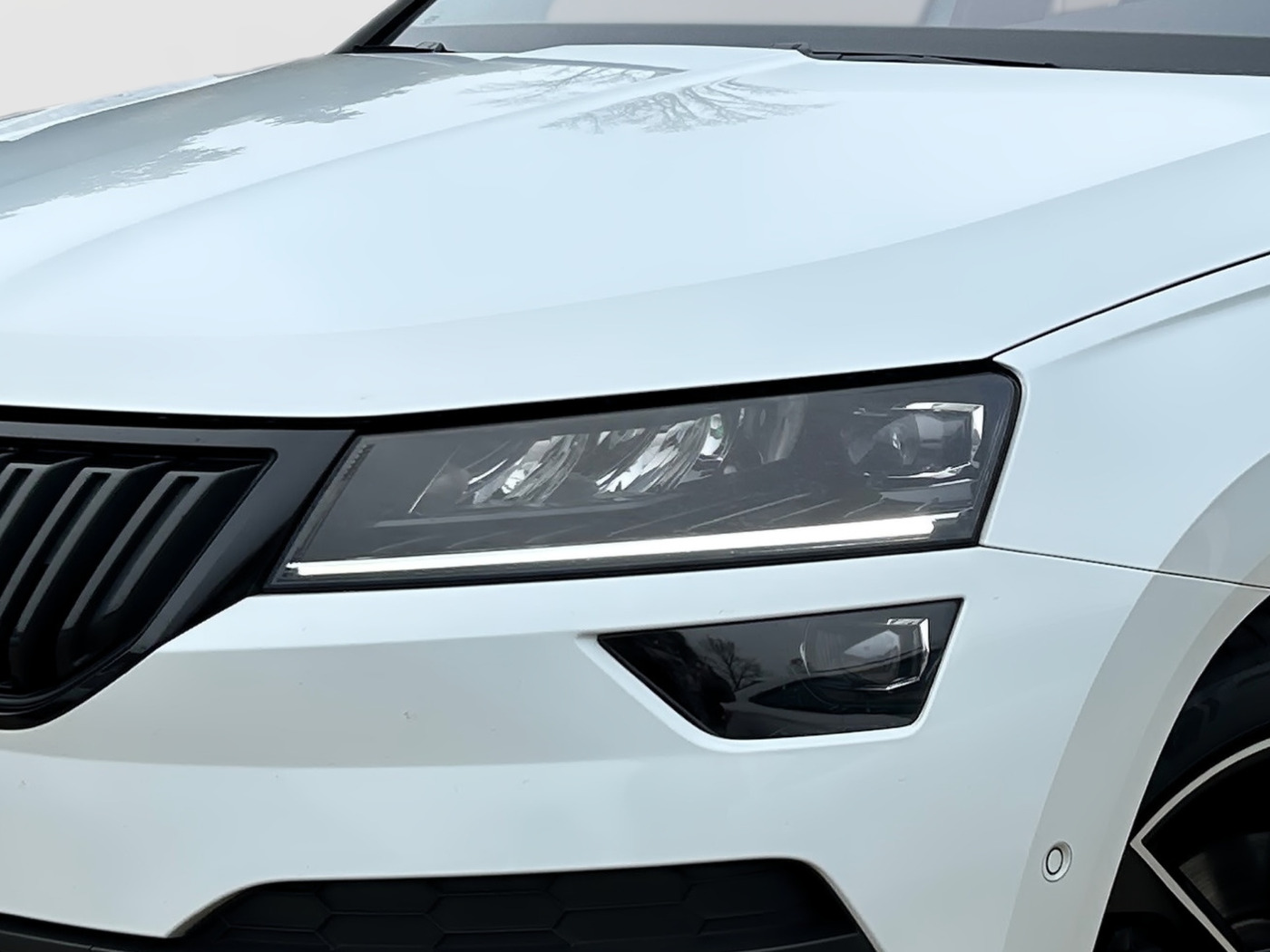 Škoda Karoq 2.0 TSI Sportline 4x4 DSG Navi Pano 360 AHK Bild 5