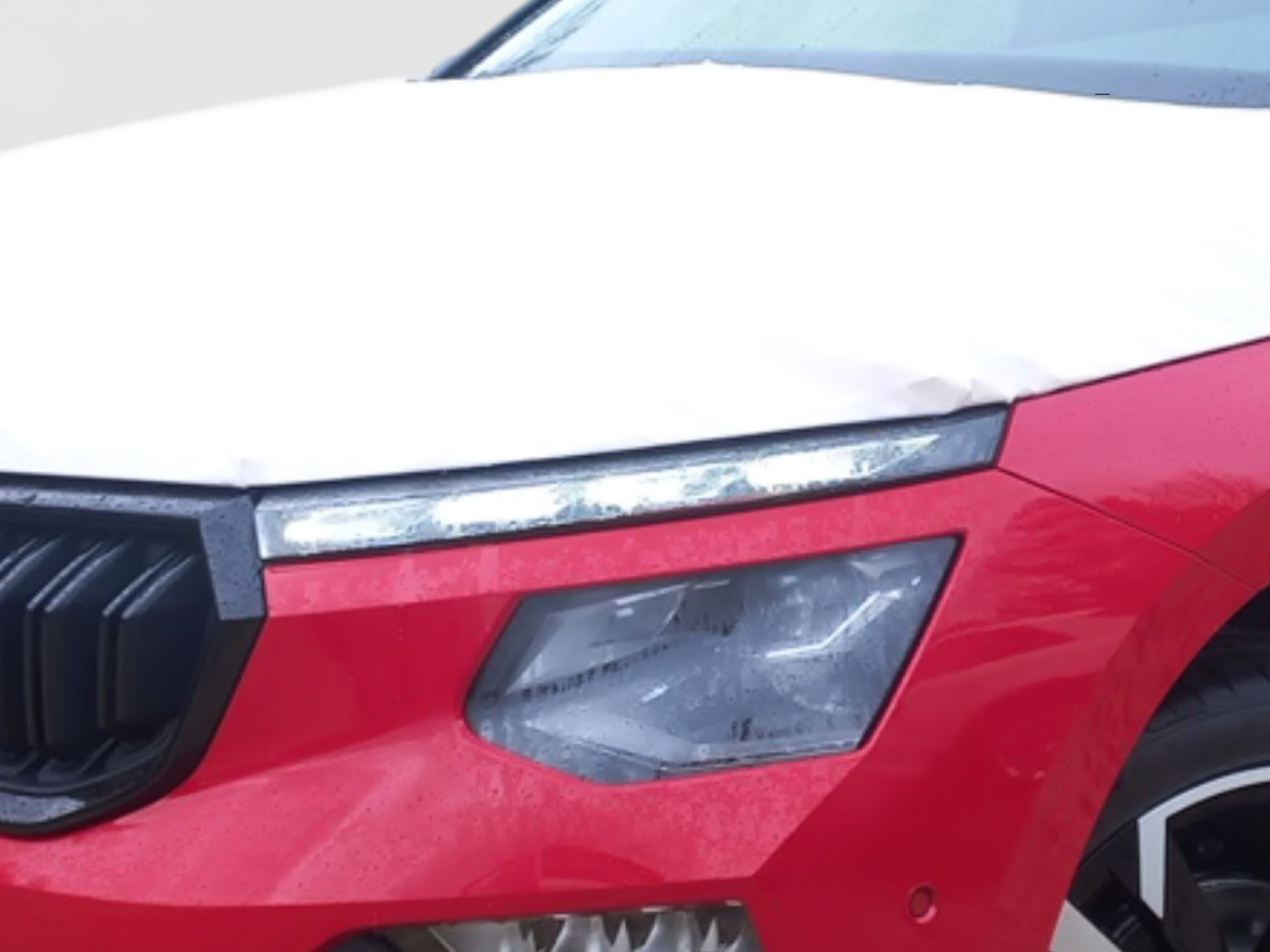 Škoda Kamiq 1.5 TSI Monte Carlo Navi Pano SportS. Kam. Bild 5
