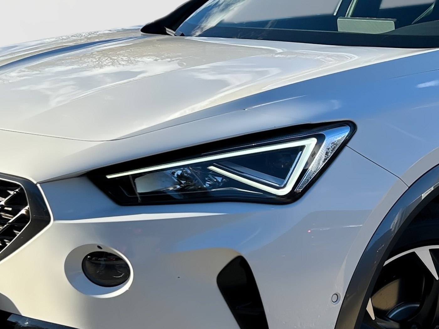 Cupra Formentor 2.0 TSI VZ 245 LM Navi Pano SportS. Bild 5