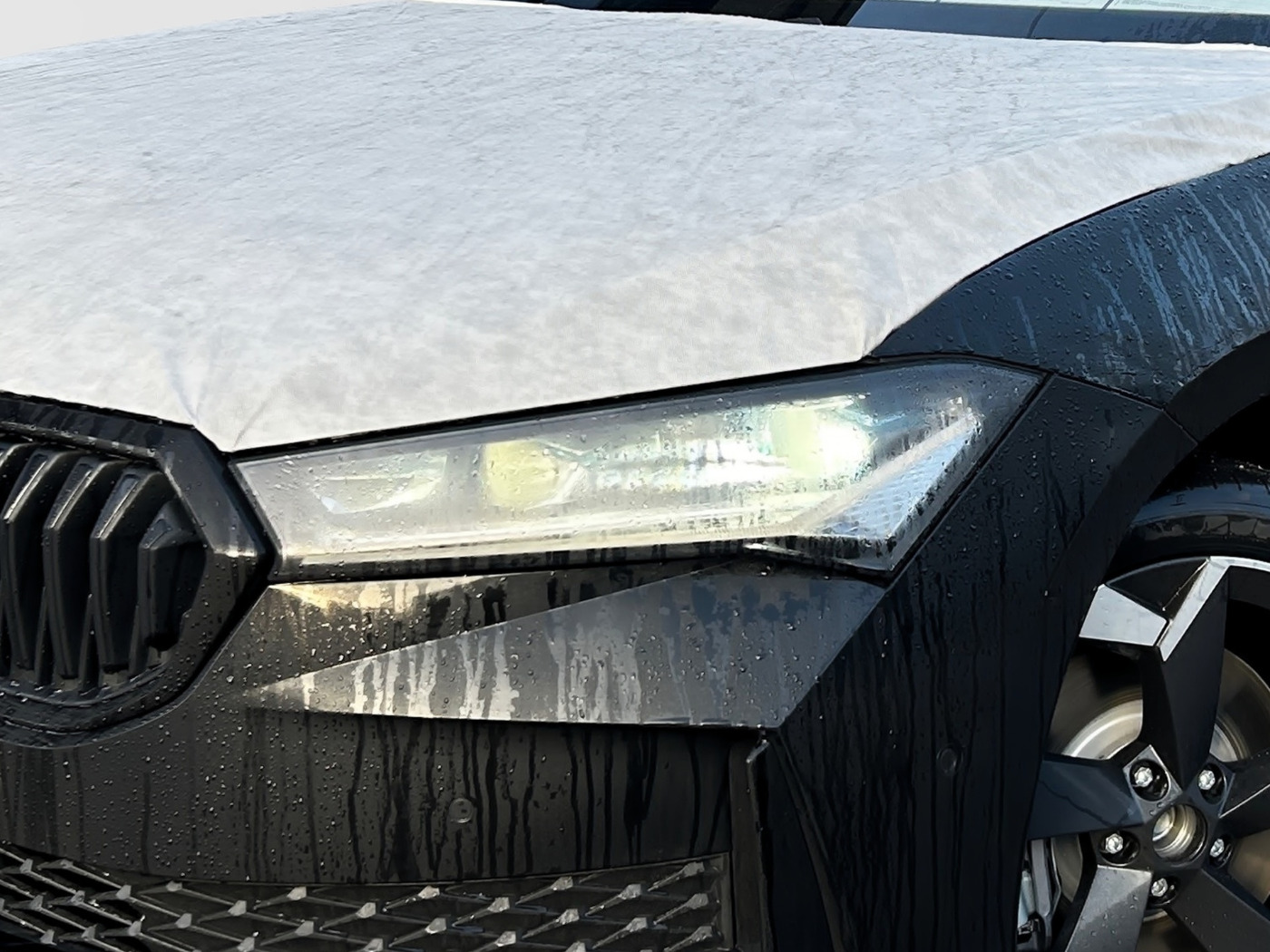 Škoda Superb Combi 2.0 TSI Sportline DSG Navi AHZV Bild 5