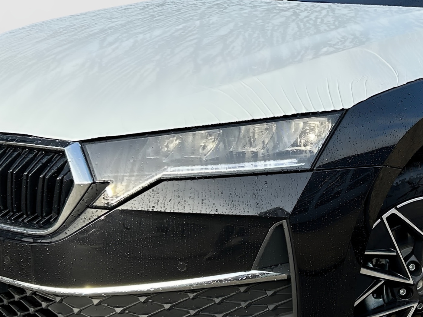 Škoda Octavia Combi 1.5 TSI Tour Kam. 4xSHZ AHZV Bild 5