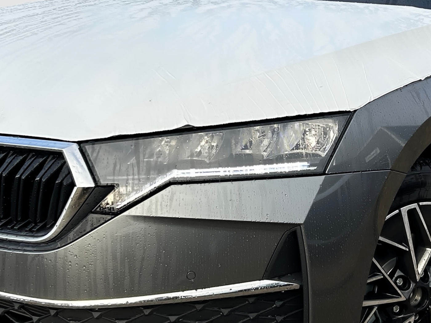 Škoda Octavia Combi 1.5 TSI Tour Kam. 4xSHZ AHZV Bild 5