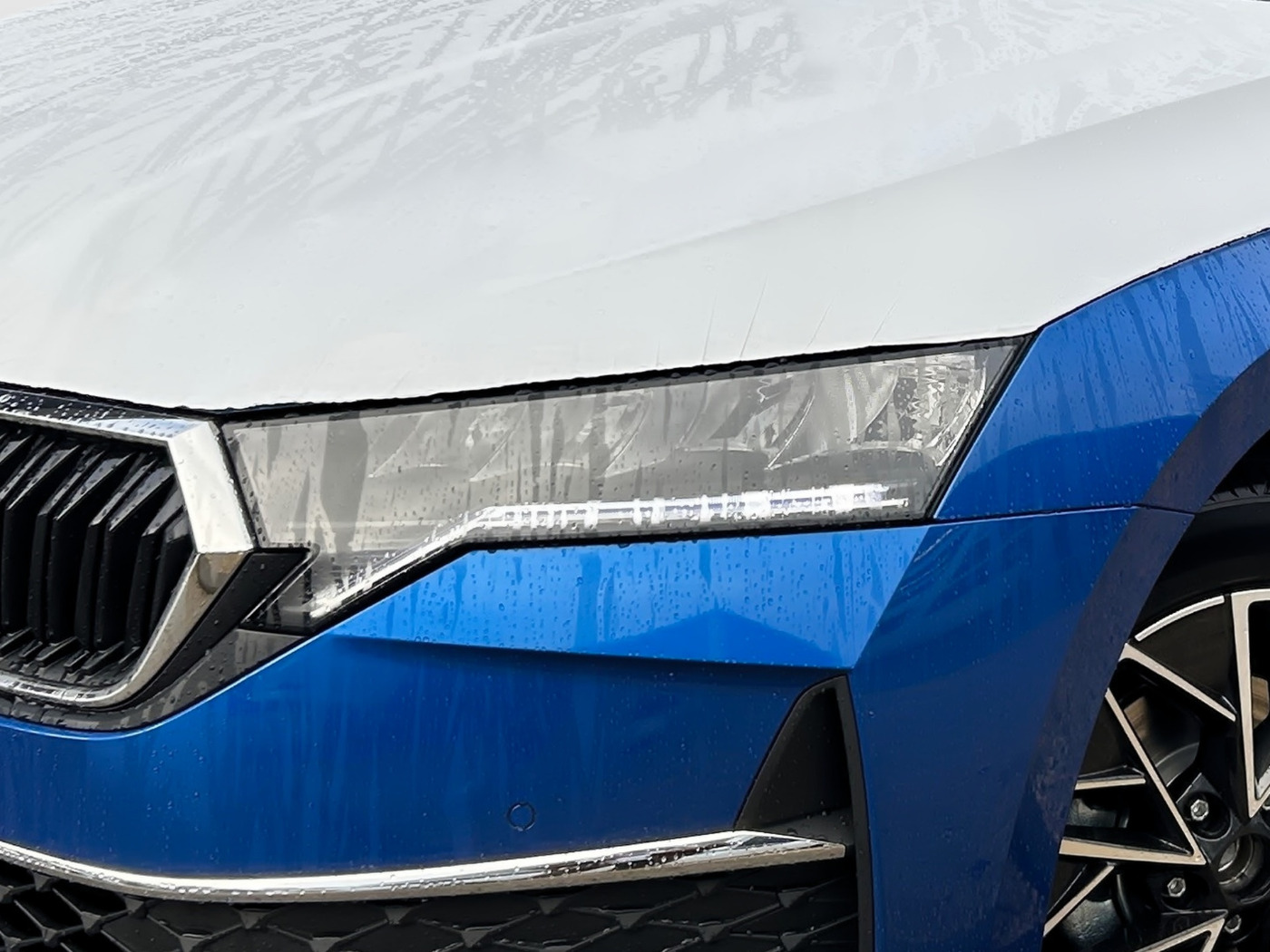 Škoda Octavia Combi 1.5 TSI Tour Kam. 4xSHZ AHZV Bild 5