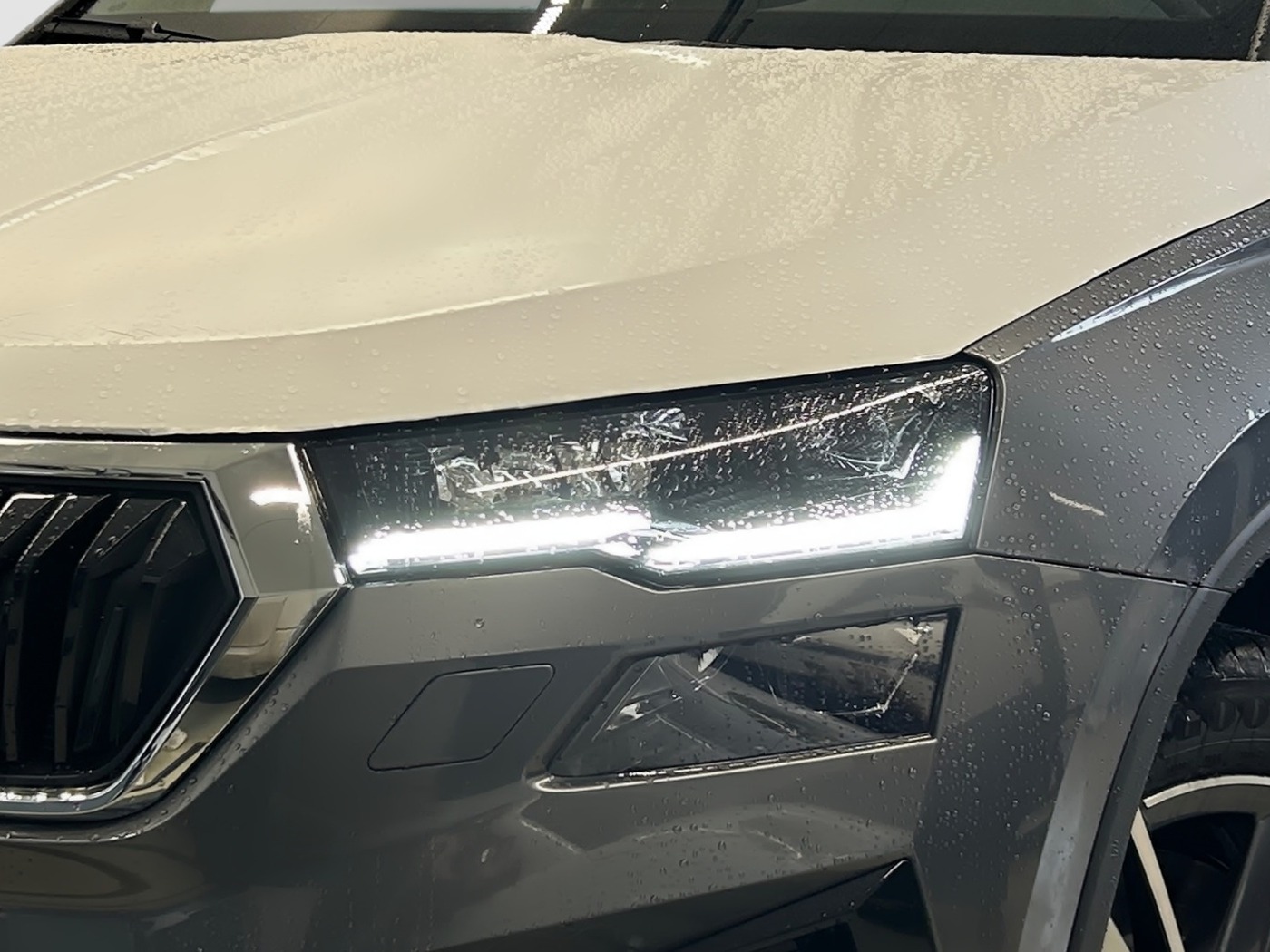 Škoda Karoq 1.5 TSI ACT Balance DSG Navi 2xKlima ACC Bild 5