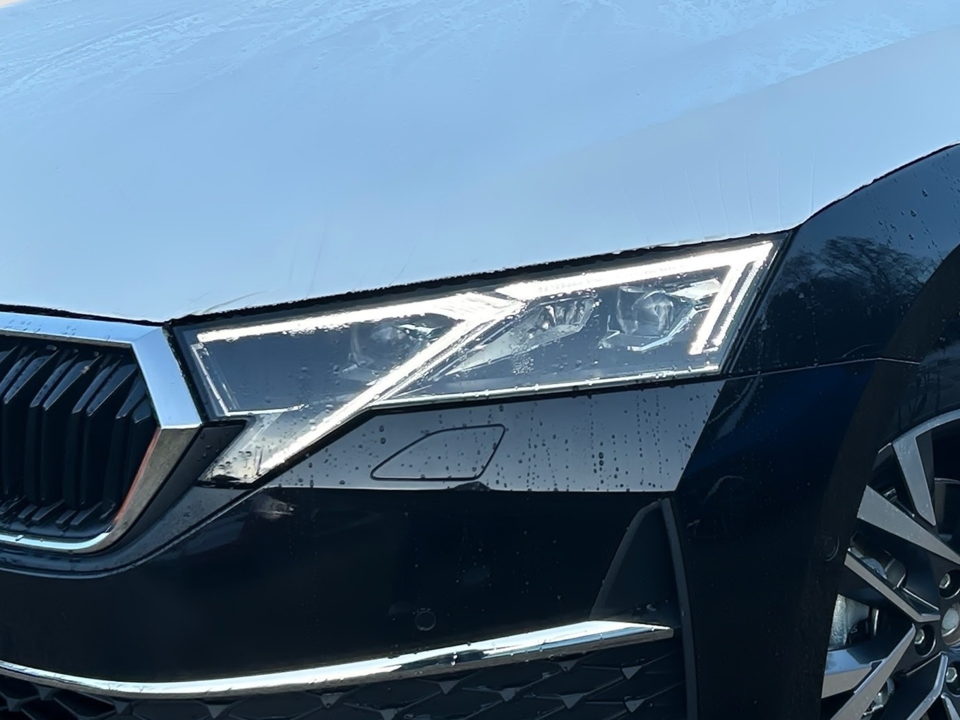 Škoda Octavia Combi 1.5 TSI mHEV Balance Navi ParkAss Bild 5