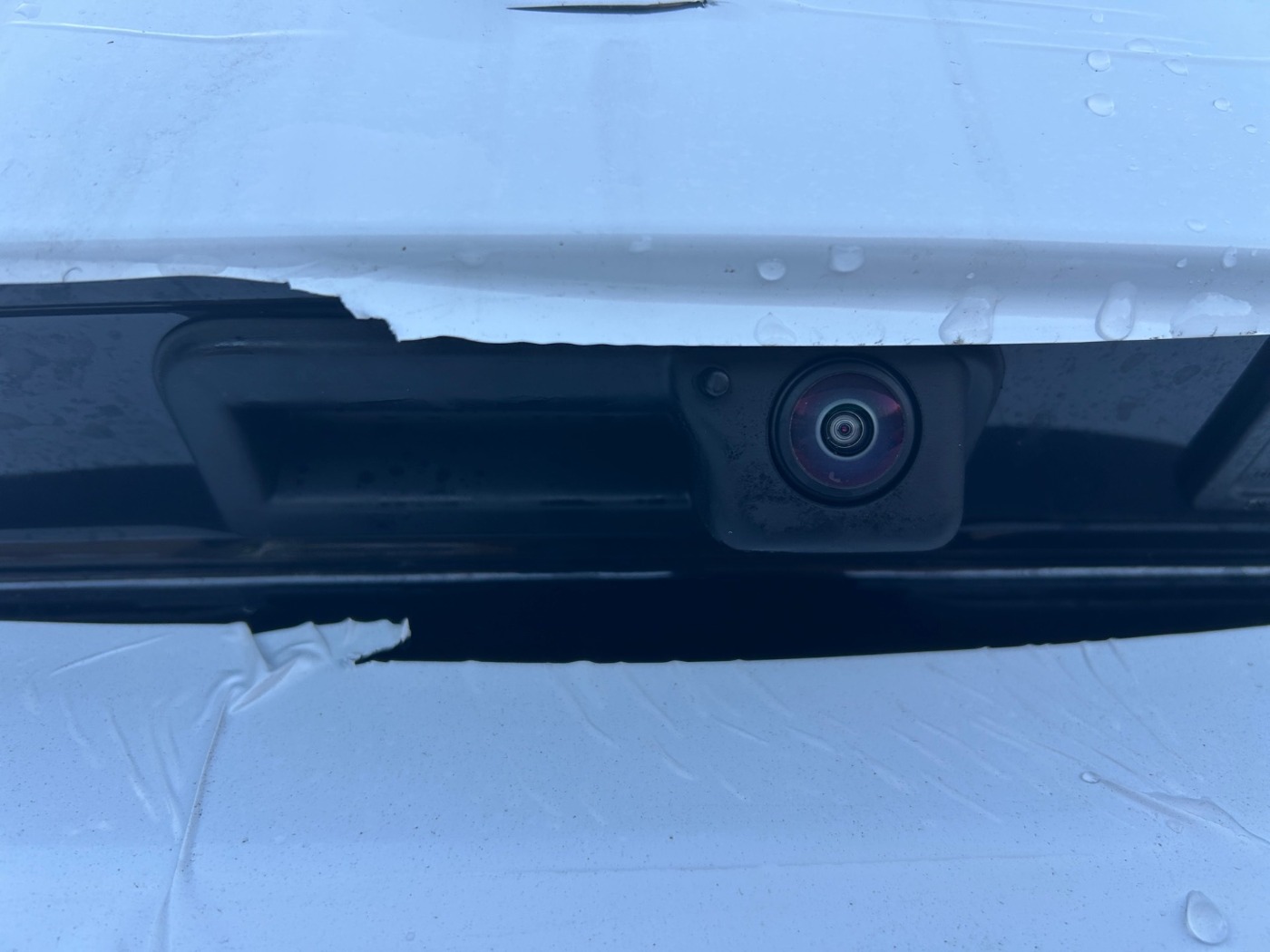 Škoda Octavia Combi 1.5 TSI mHEV Balance Navi ParkAss Bild 19