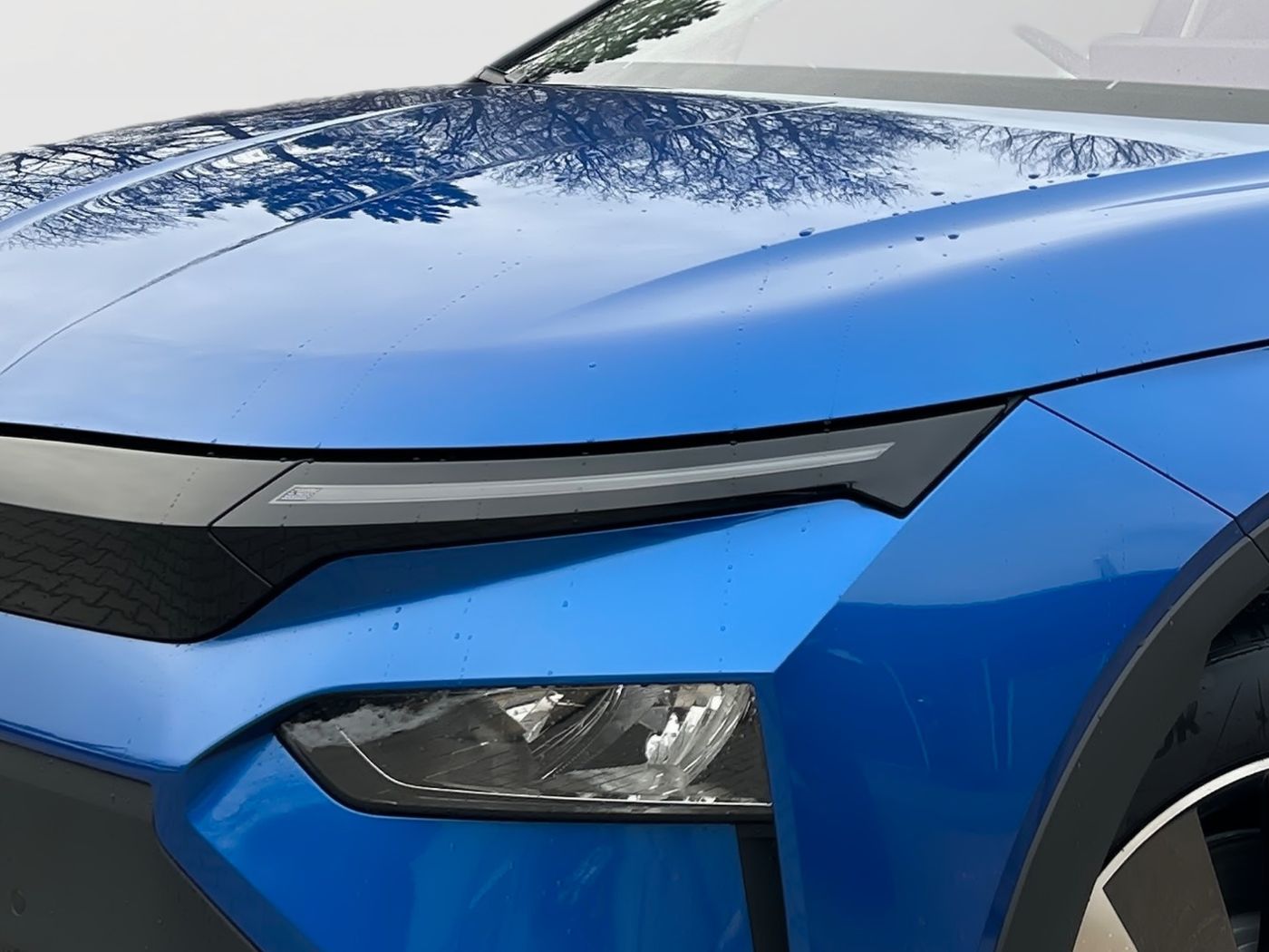 Škoda Elroq 50 LM Navi Kam. 2xKlima 4xSHZ ACC Bild 5