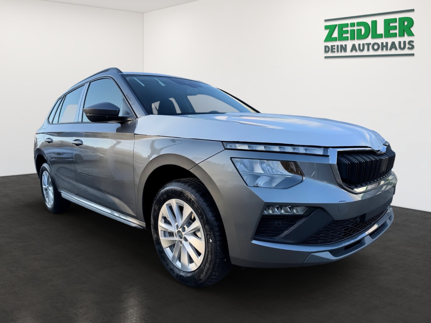 Škoda Kamiq 1.0 TSI Selection Kam. Kessy WinterPlus Bild 2