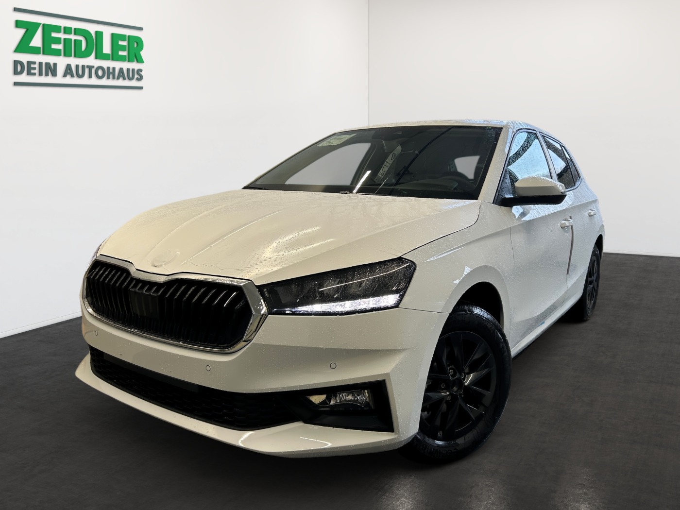 Škoda Fabia 1.0 MPI Selection LM Navi KlimaA beh. FS
