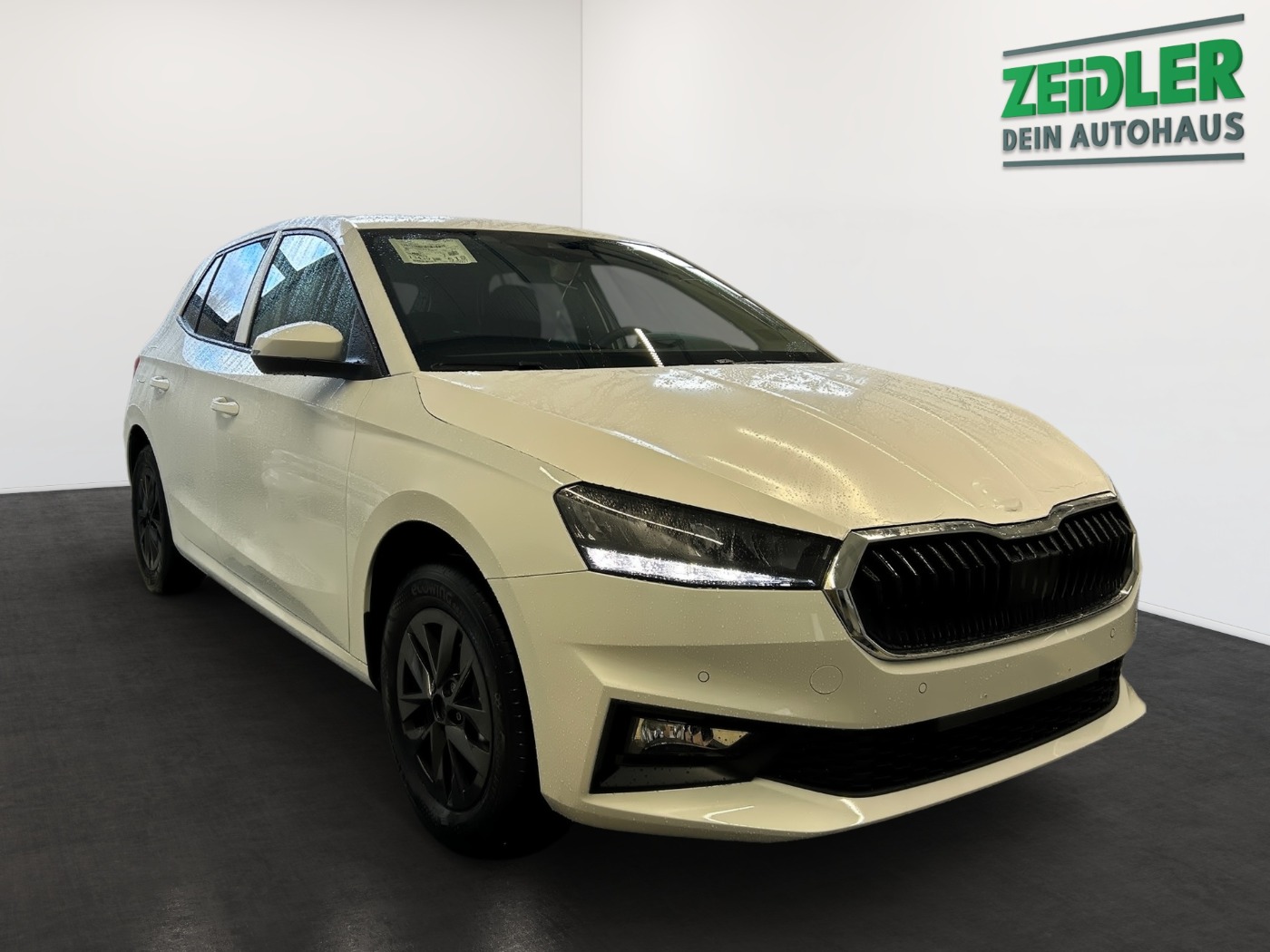 Škoda Fabia 1.0 MPI Selection LM Navi KlimaA beh. FS Bild 2