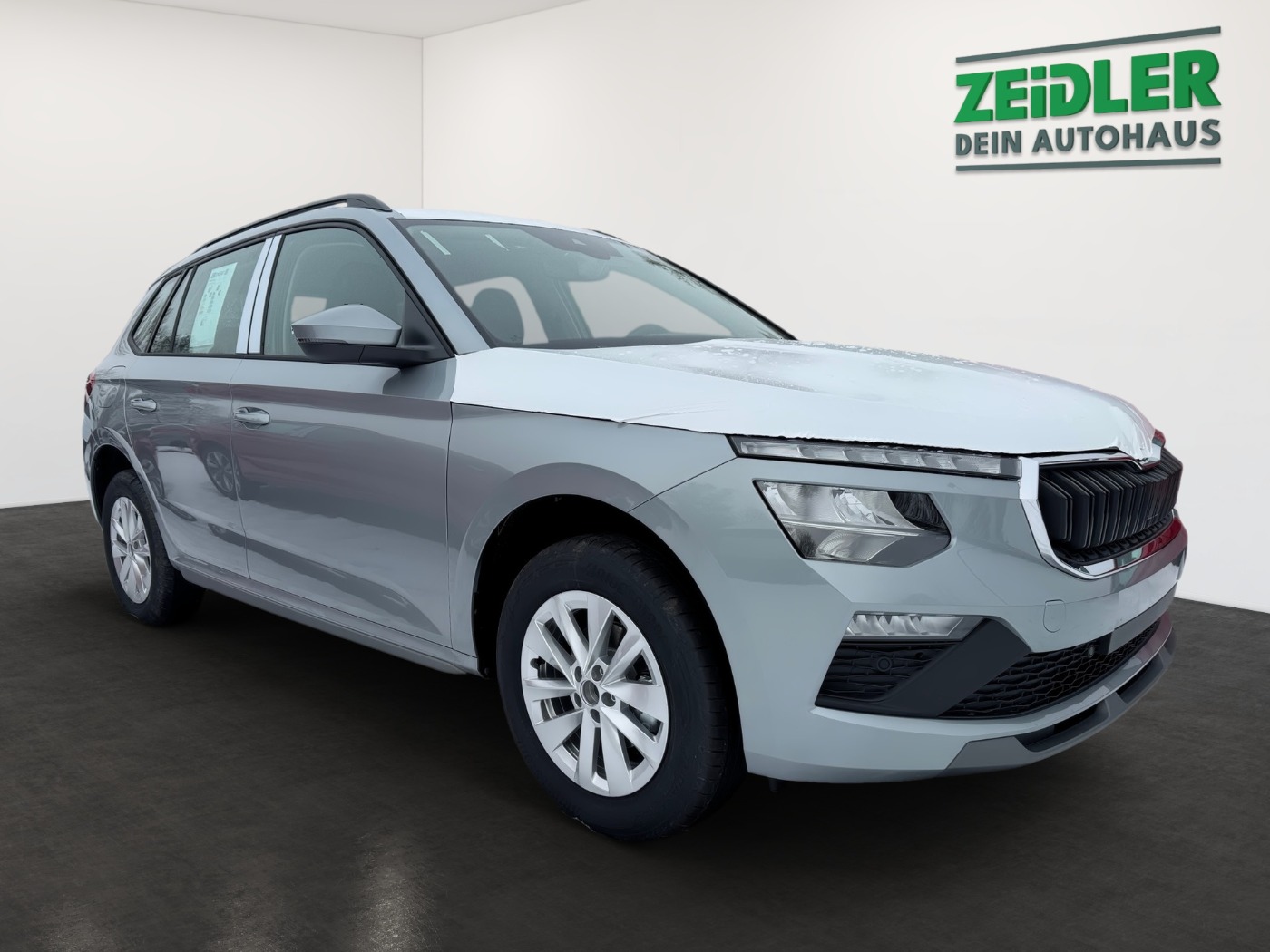 Škoda Kamiq 1.0 TSI Selection Kam. WinterPlus KeyLess Bild 2