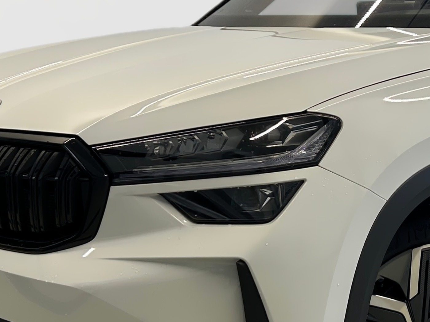 Škoda Kodiaq Sportline 2,0 TDI 4x4 DSG Navi SportS. Bild 5