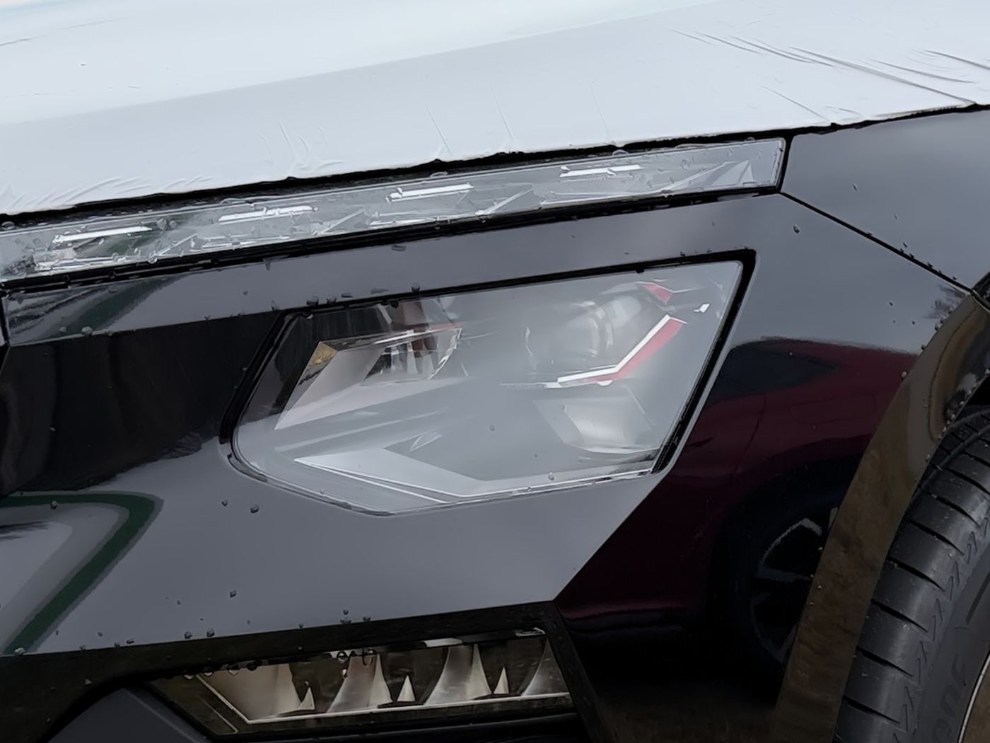 Škoda Kamiq 1.0 TSI Selection LM Kam. Matrix beh. FS Bild 5