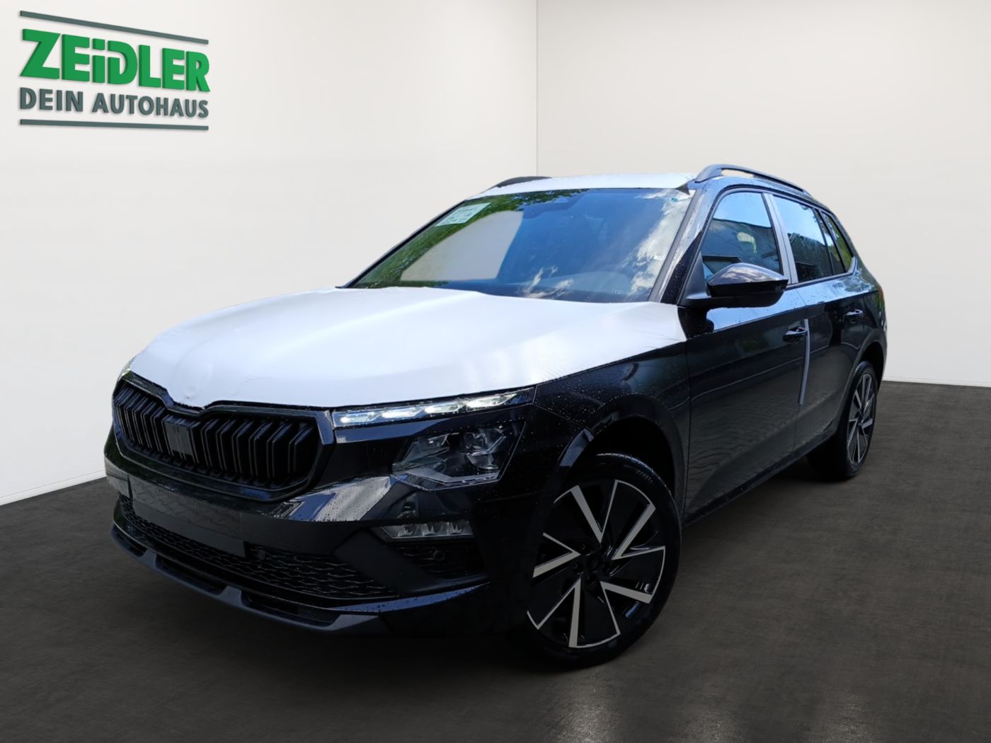 Skoda Kamiq Selection 1,0 TSI LED RFK Kessy Beh. FS