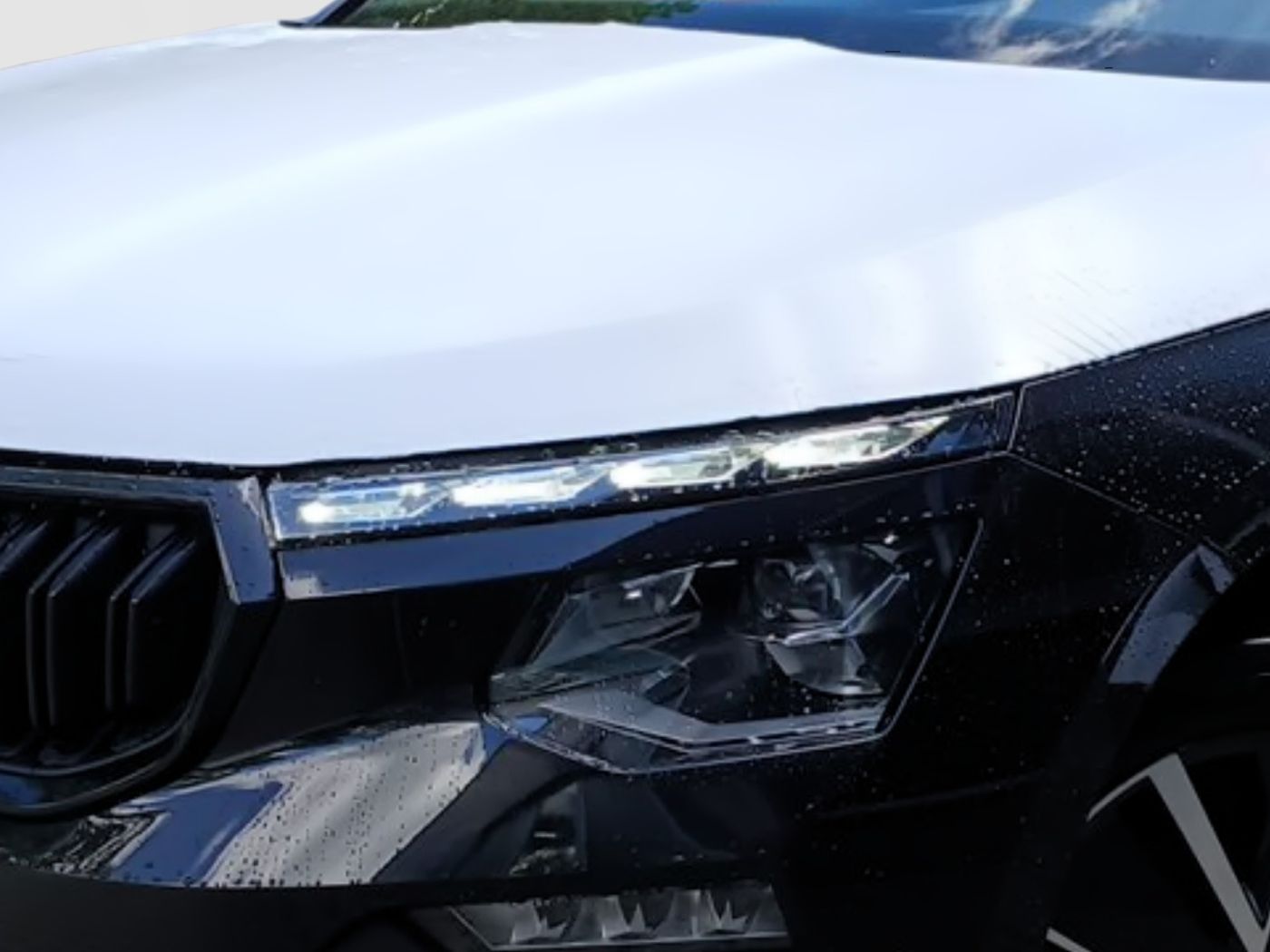 Skoda Kamiq Selection 1,0 TSI LED RFK Kessy Beh. FS Bild 5
