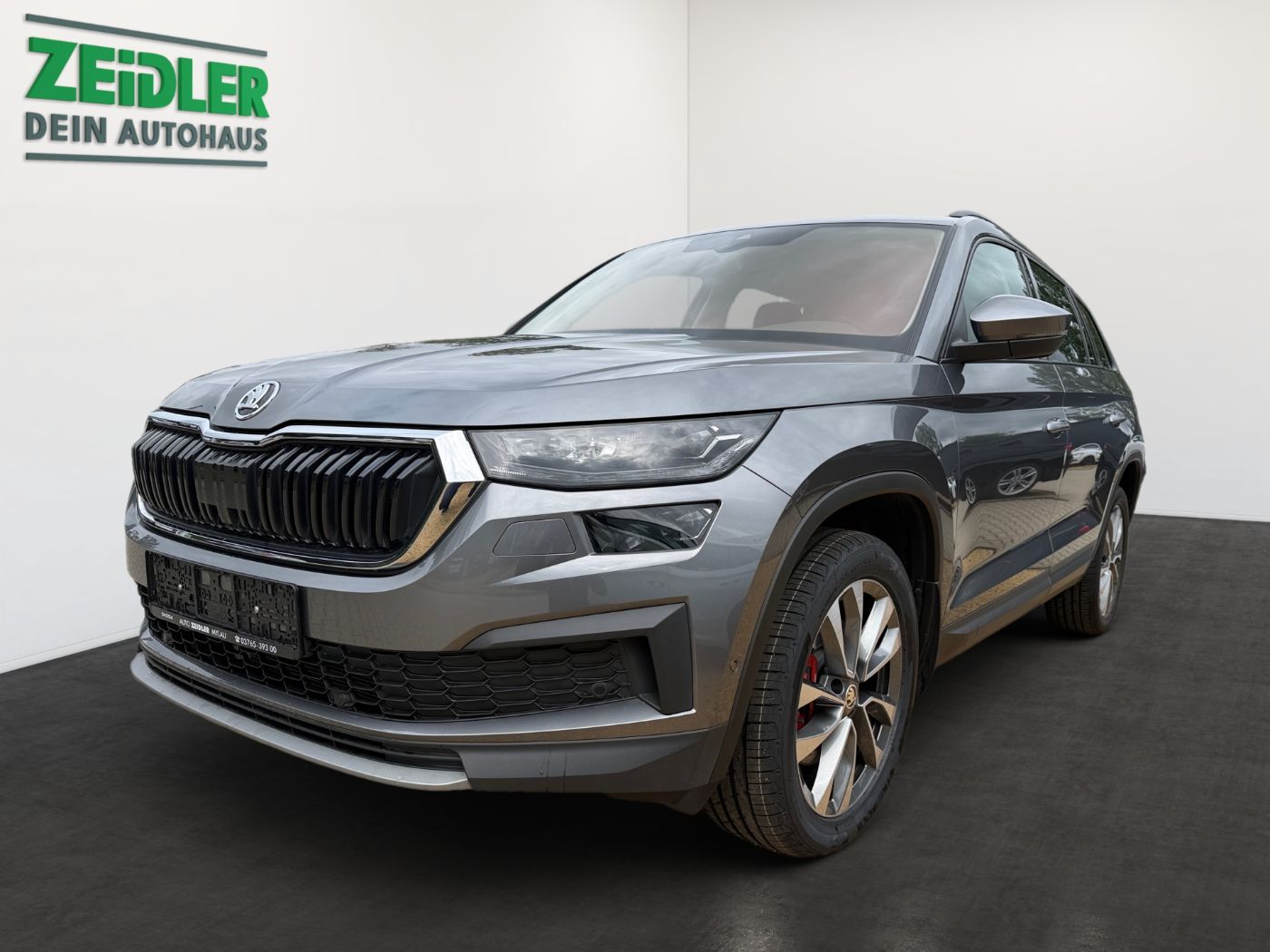 Škoda Kodiaq Tour 2.0 TSI 4x4 DSG AHK Matrix ParkAss