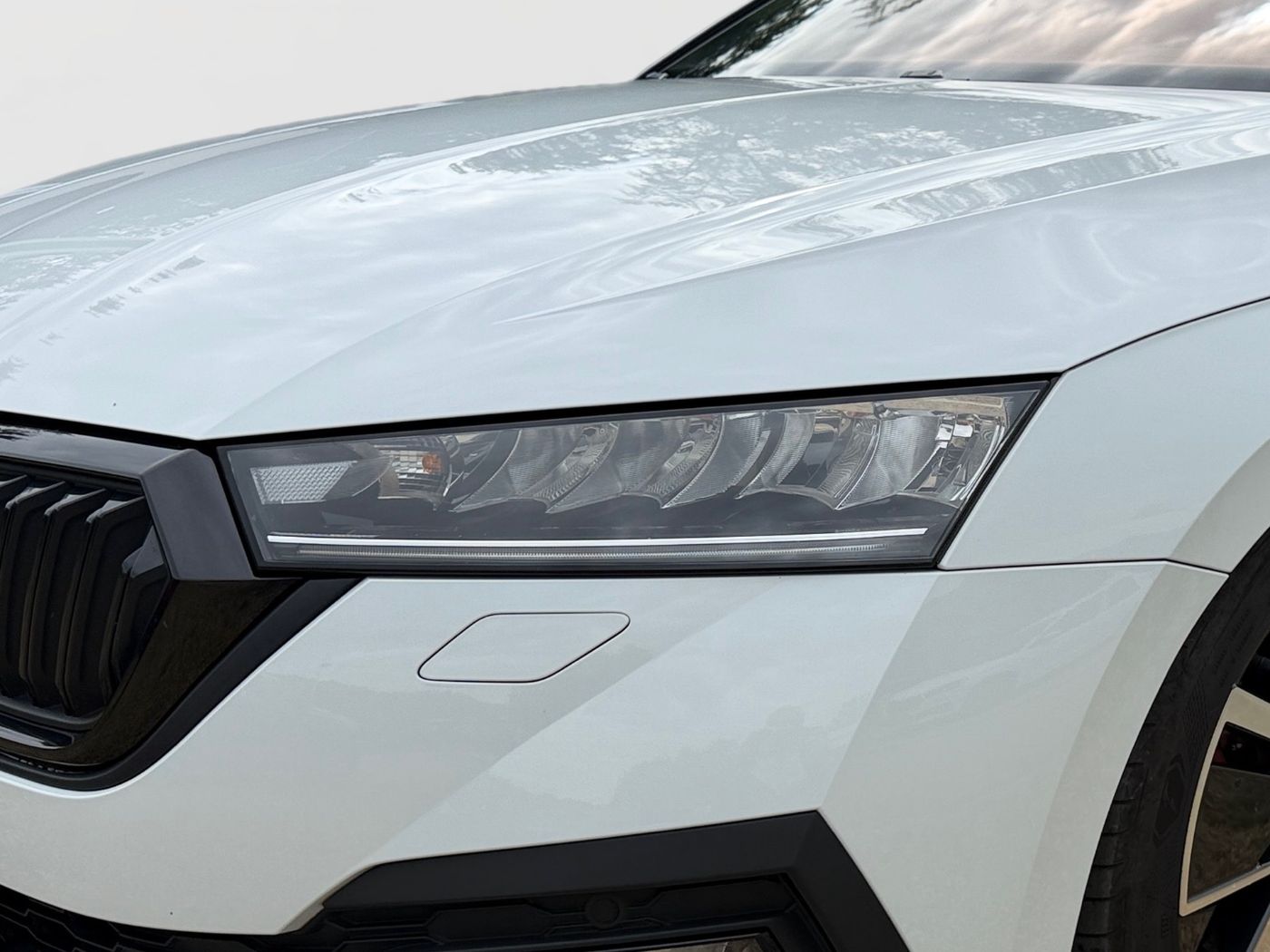 Škoda Octavia Sportline 1.5 TSI ACT e-TEC ACC Standheiz Bild 5