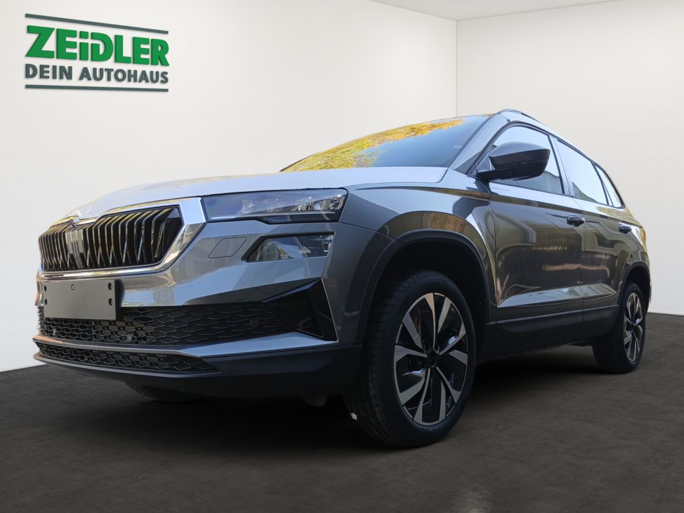 Skoda Karoq Selection 2,0 TDI DSG Navi Kam. 4xSHZ AHK