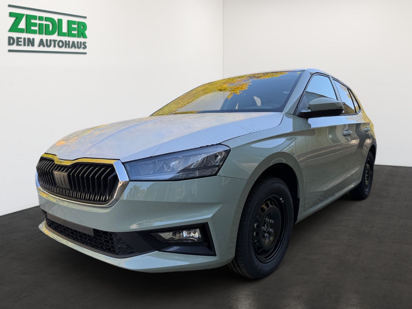 Skoda Fabia 1.0 MPI Essence LED PDC SHZ SpurH
