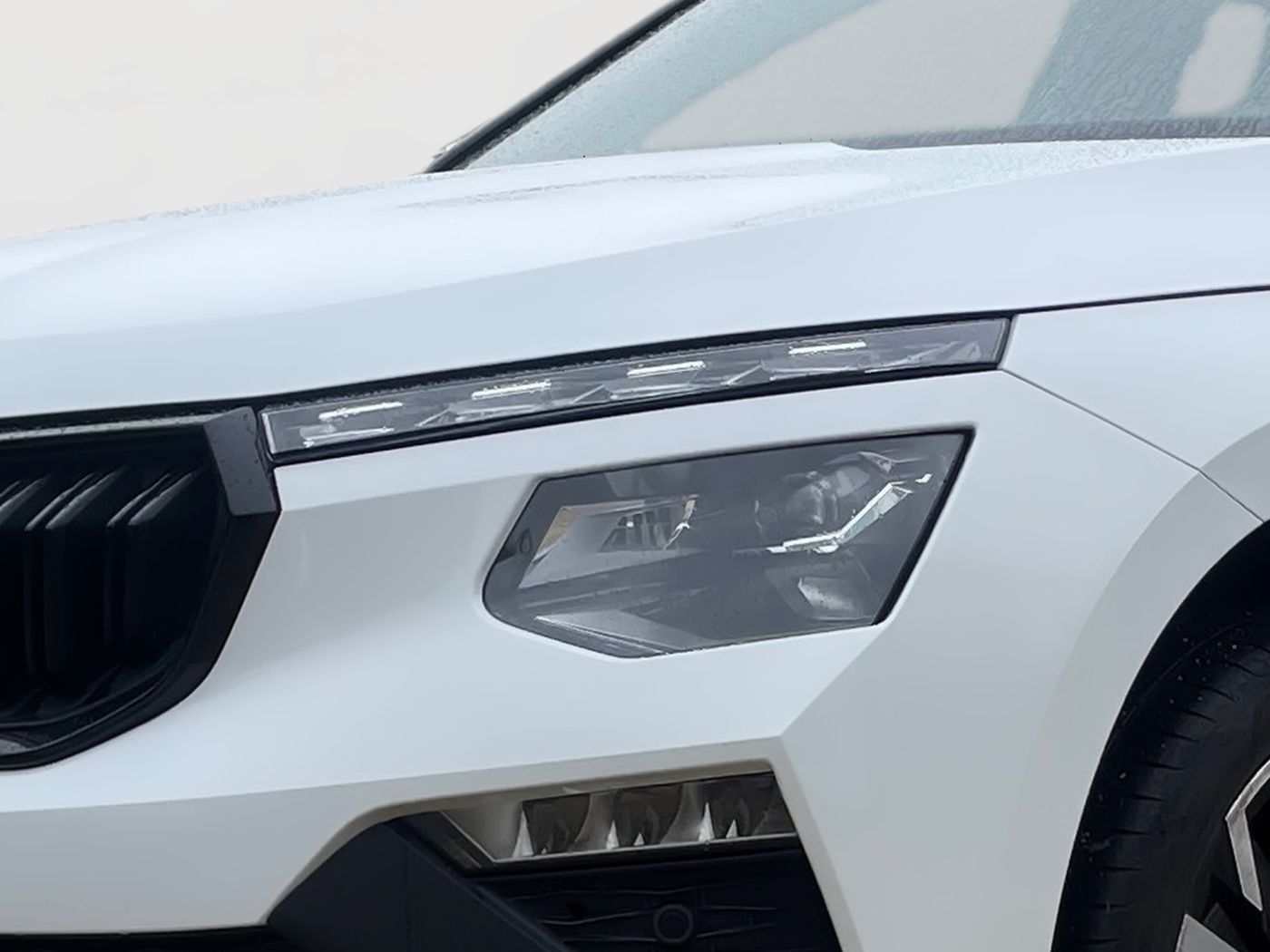 Skoda Kamiq 1.5 TSI Monte Carlo PanoSportS. Kam.LED AHK Bild 5