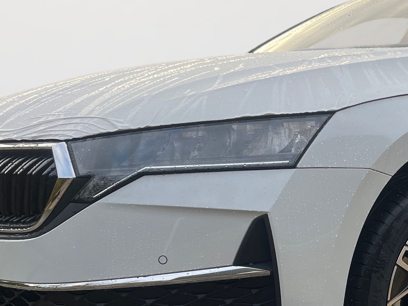 Skoda Octavia Combi Balance 1.5 TSI ACT Navi Kam. LED Bild 5