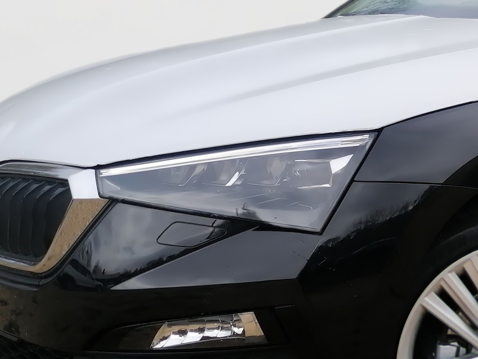 SKODA Scala 1.5 TSI DSG Tour ACC DAB LED PDC RFK SHZ Bild 5